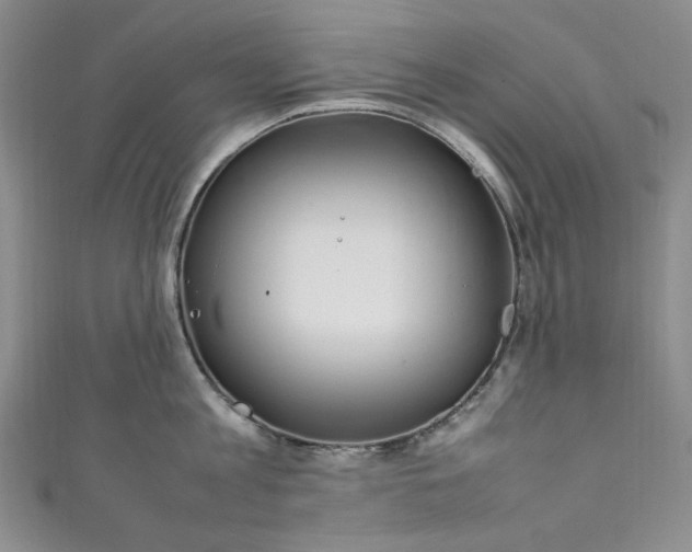 X0000111470813200907271310