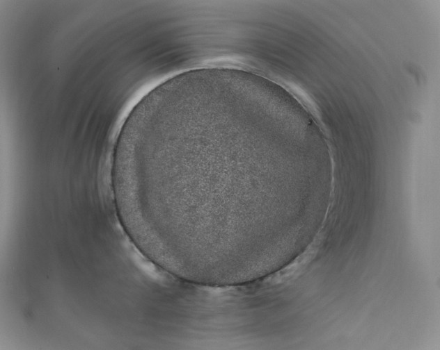 X0000111470816200907271310