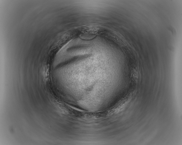 X0000111470818200907271309