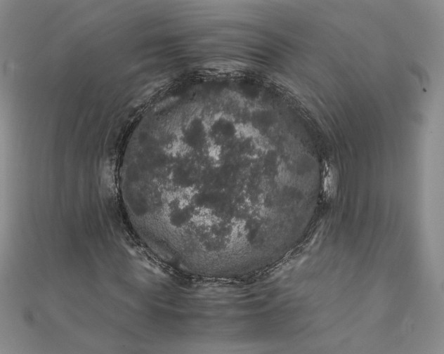 X0000111470819200907271309