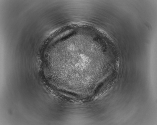 X0000111470822200907271309