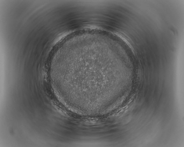 X0000111470823200907271309