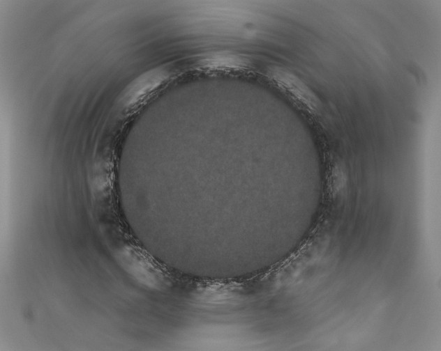 X0000111470824200907271309