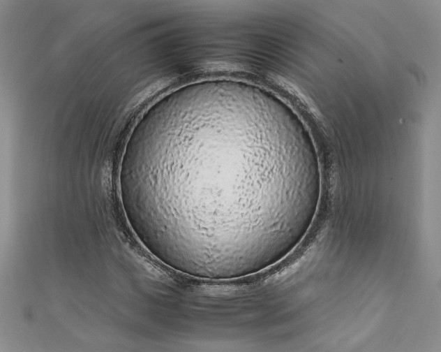 X0000111470825200907271310