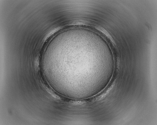 X0000111470826200907271310