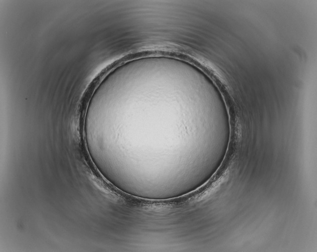 X0000111470830200907271310