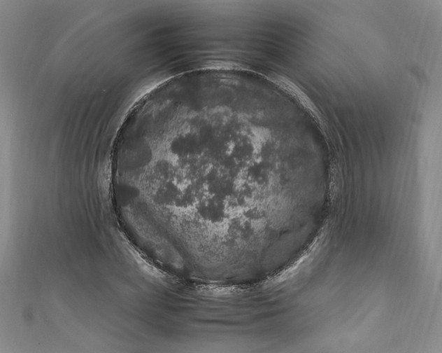 X0000111470831200907271310