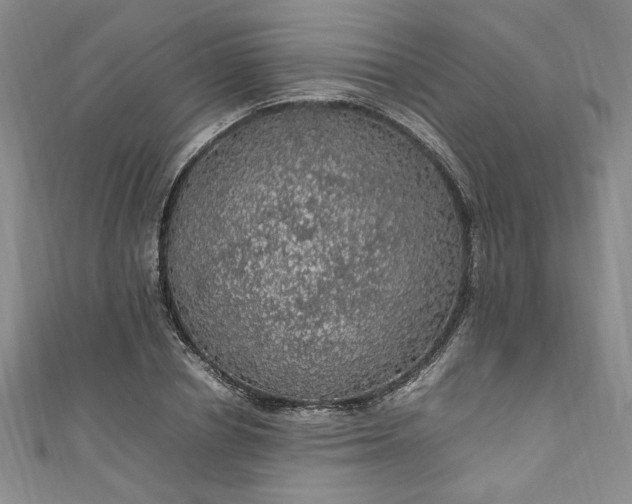 X0000111470834200907271310