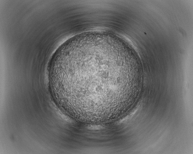 X0000111470835200907271310