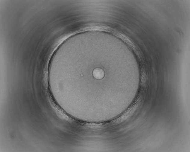 X0000111470836200907271310