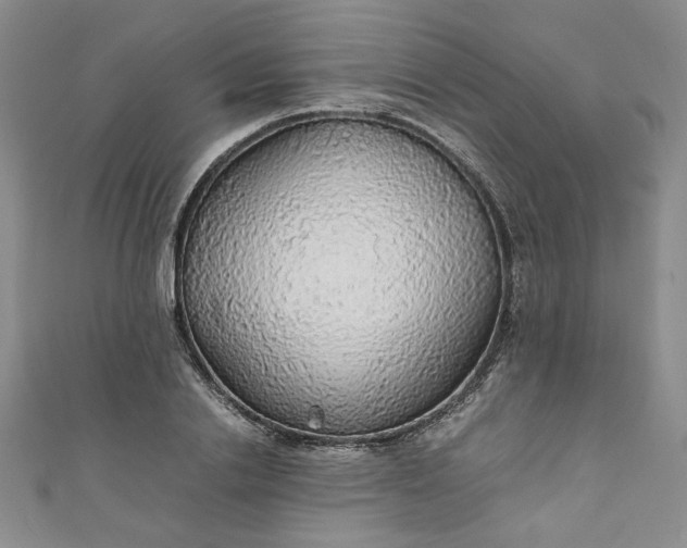 X0000111470838200907271310