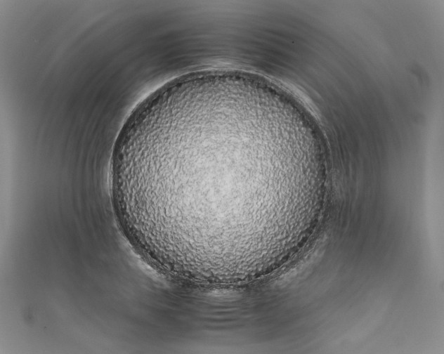 X0000111470839200907271310