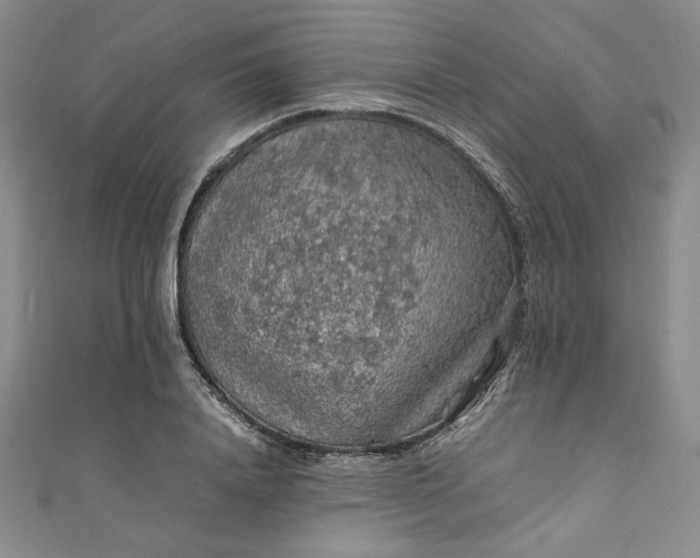 X0000111470840200907271310