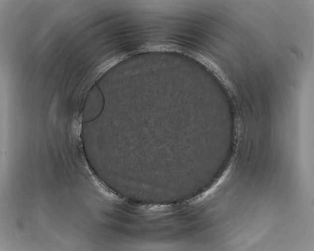 X0000111470841200907271310