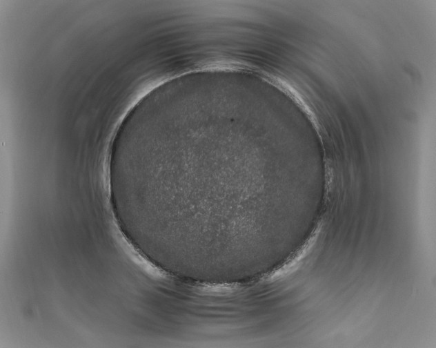 X0000111470843200907271310