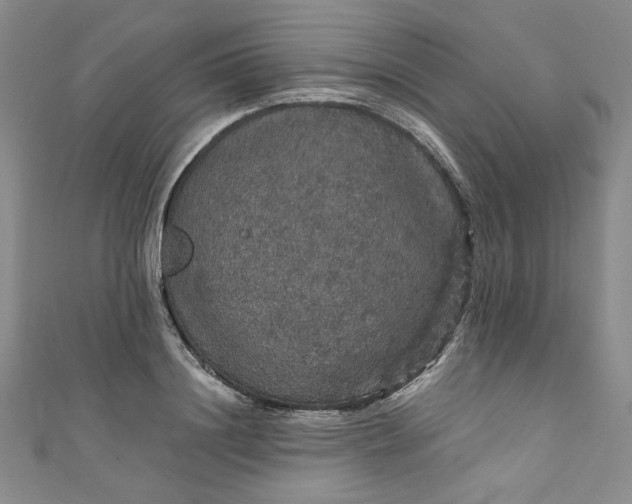 X0000111470844200907271310