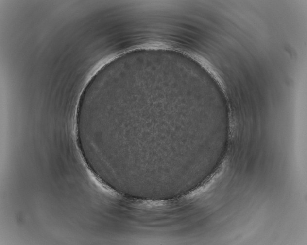 X0000111470845200907271310