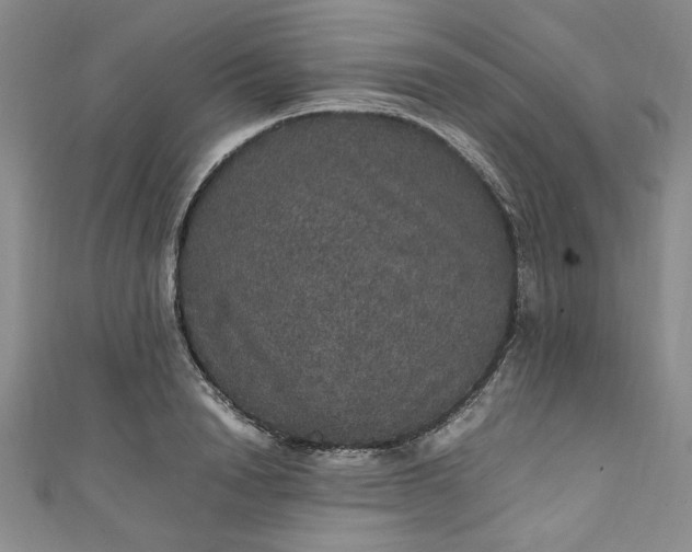 X0000111470846200907271310