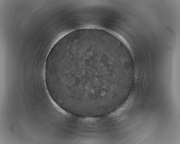 X0000111470847200907271310