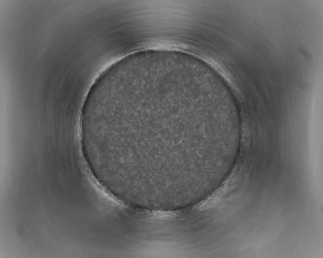 X0000111470848200907271310