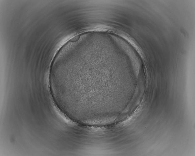 X0000111470850200907271310