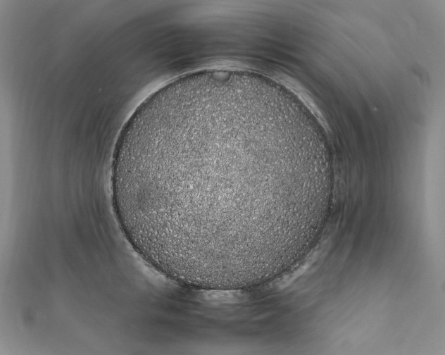 X0000111470853200907271310