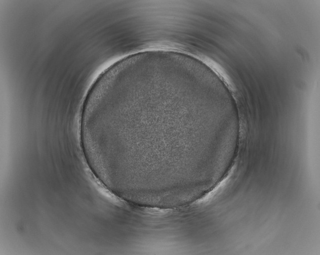 X0000111470854200907271310