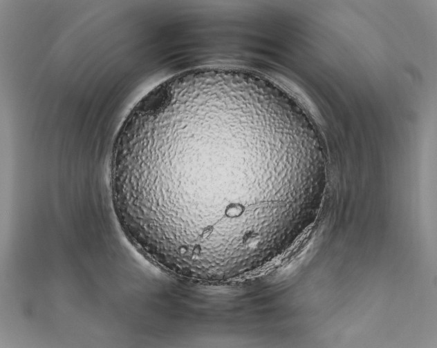 X0000111470855200907271310