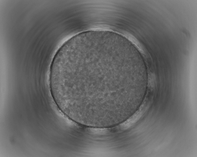 X0000111470856200907271310