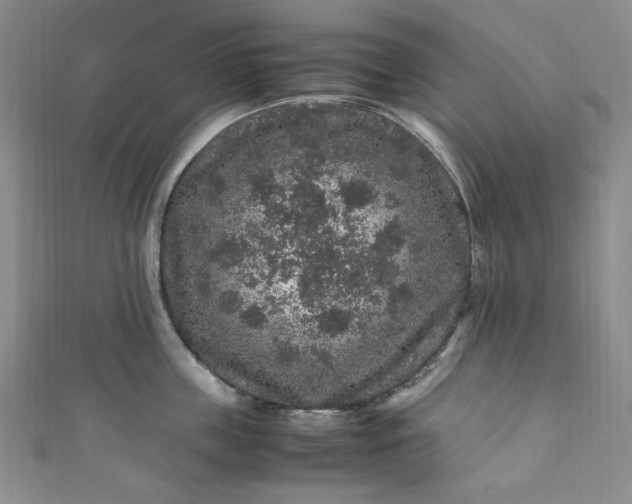 X0000111470859200907271310