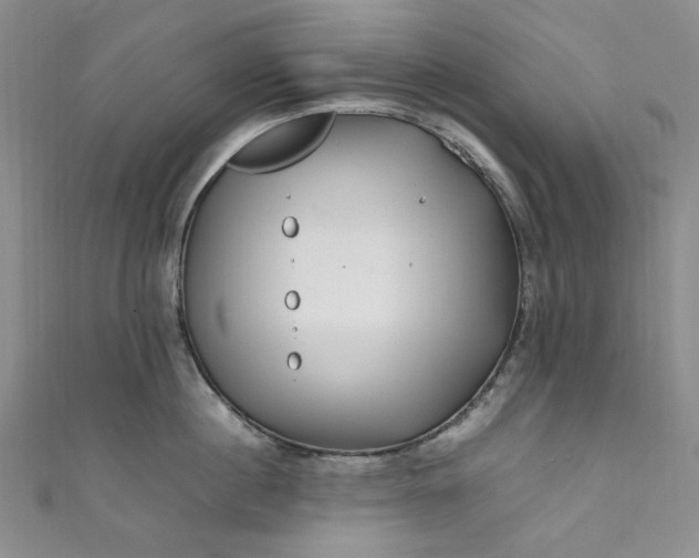 X0000111470860200907271310