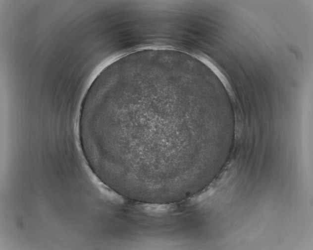 X0000111470861200907271310