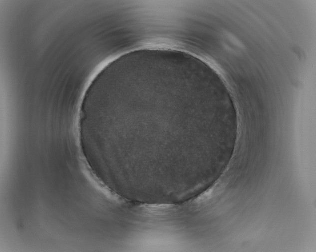 X0000111470864200907271310