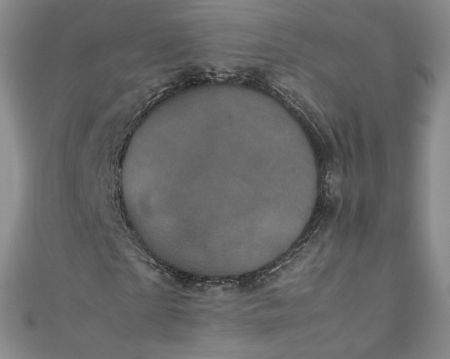 X0000111470865200907271309