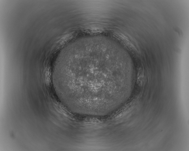 X0000111470866200907271309