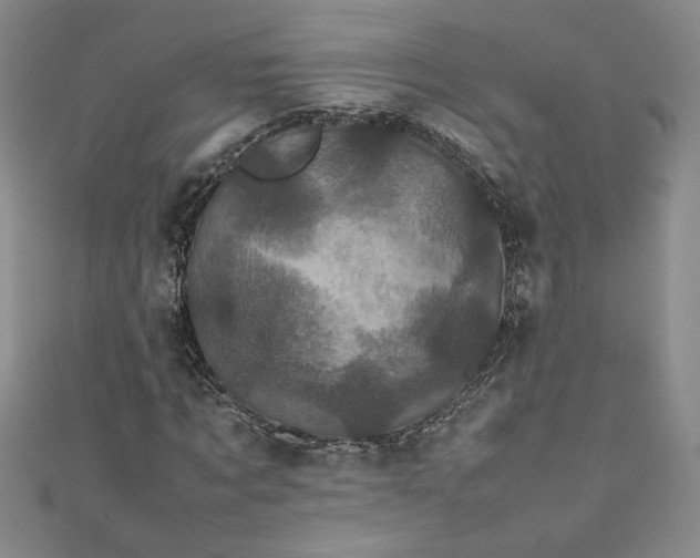 X0000111470869200907271309