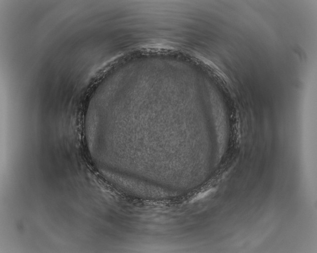 X0000111470870200907271309