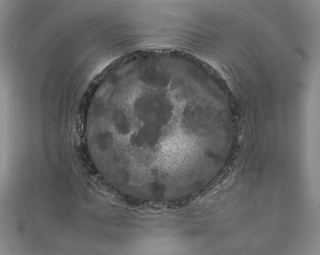 X0000111470871200907271309