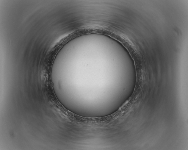 X0000111470872200907271309