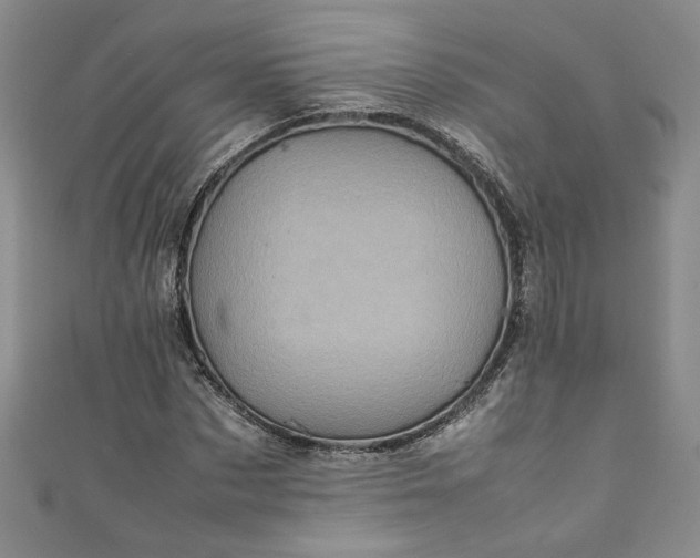 X0000111470873200907271309