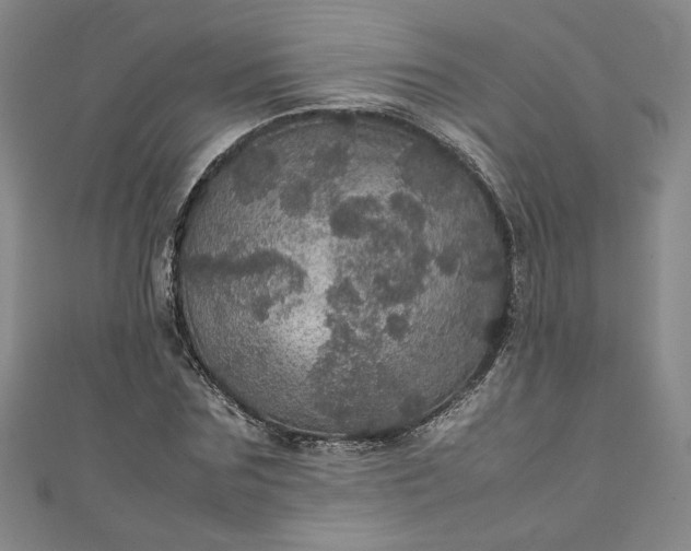 X0000111470875200907271309