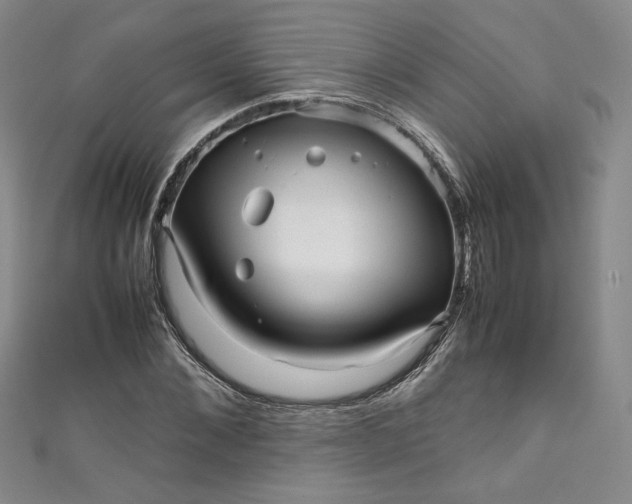 X0000111470876200907271309