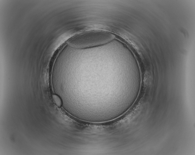 X0000111470877200907271309