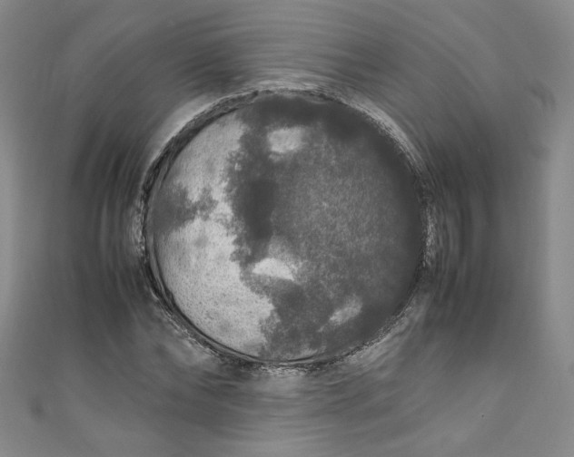 X0000111470878200907271309