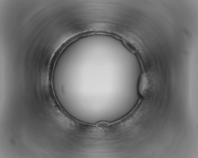 X0000111470880200907271309