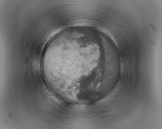 X0000111470882200907271309