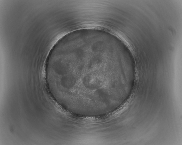 X0000111470883200907271309