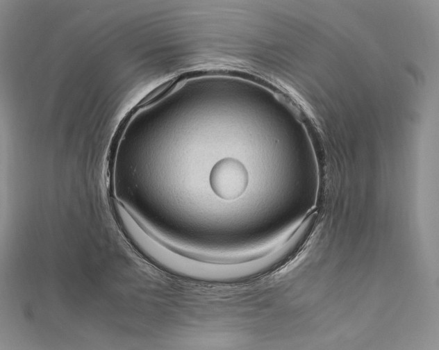 X0000111470885200907271309