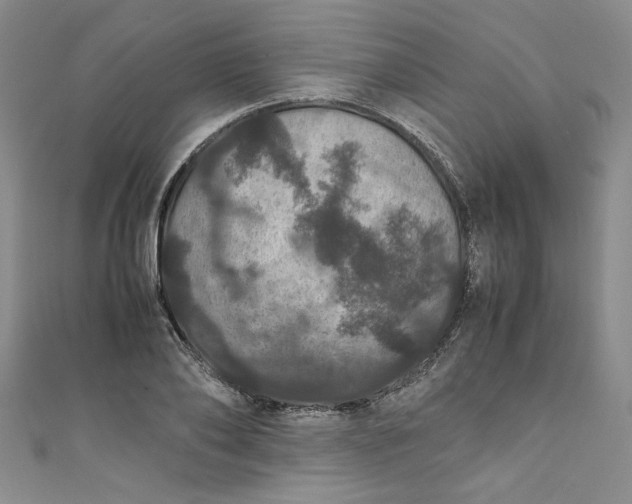 X0000111470886200907271309