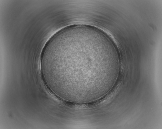 X0000111470887200907271309